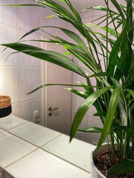 Im Herzen Von Wiedenbrueck Apartment